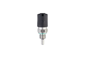 TM6101 - Temperature sensor with process connection